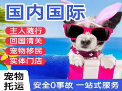 沈阳航空快运国际宠物托运 【国